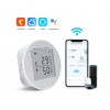 TUYA Smart Wi‑Fi senzor teploty a vlhkosti | Zoneway TUYA Smart Wi‑Fi senzor teploty a vlhkosti | Zoneway